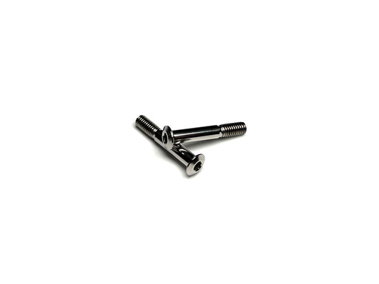 Natural titanium body stop screws (2pc) on white background