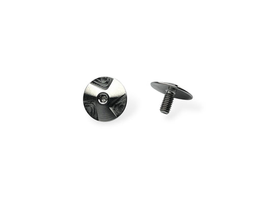 XL GT wing screw - titanium  2pcs